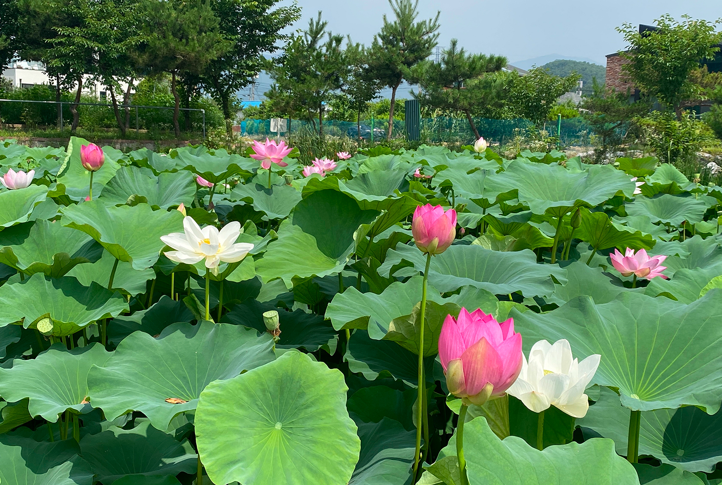 지역 생태계 보전 및 복원