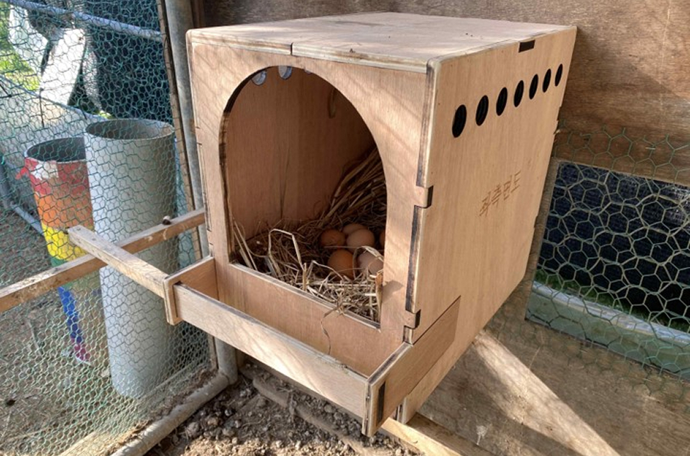조립식 새집,닭둥지